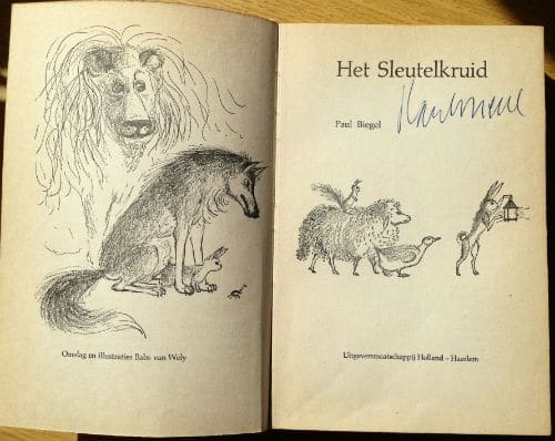 Illustratie Babs van Wely