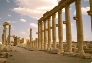 Palmyra